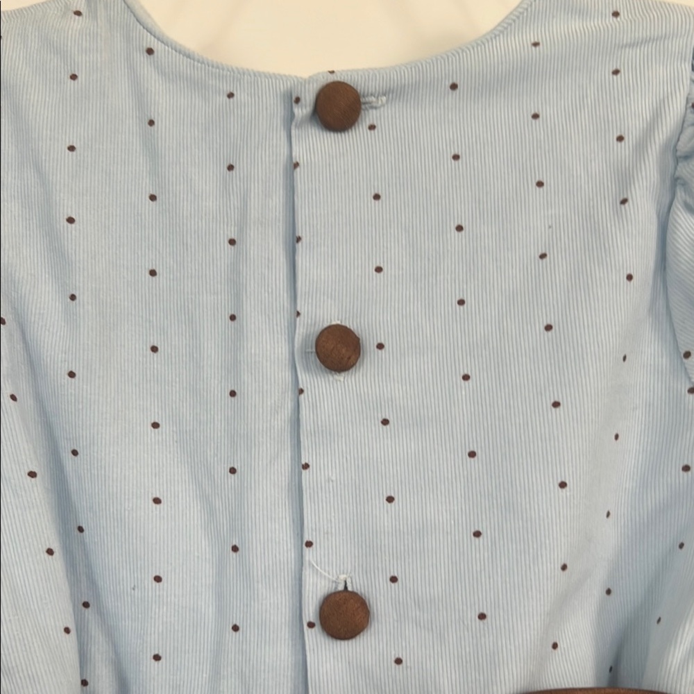 Bailey Boys Classic Light Blue Corduroy Dress with Brown Polka dots and sash - Picture 4 of 8